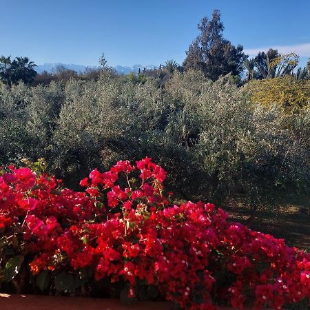 Manzal Lahbab Bed & Breakfast Marrakesh Ngoại thất bức ảnh
